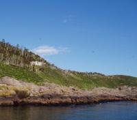 Newfoundland